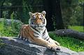Zoo_Aug_05_0720