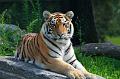 Zoo_Aug_05_0722