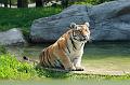 Zoo_Aug_05_0728